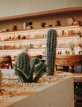 Puerto Cocina — Modern Mexican restaurant in Dallas