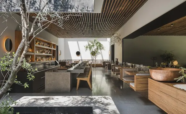 Pujol — Mexican restaurant in Ciudad de México