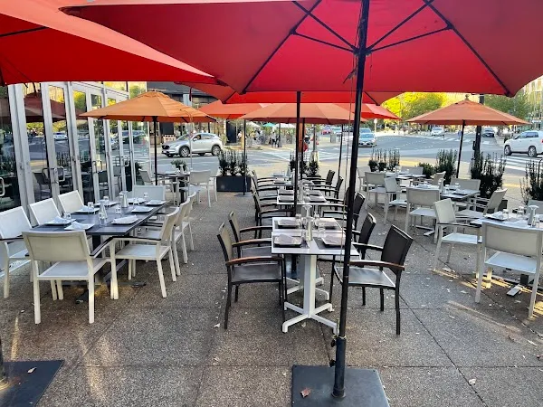 Rasika West End — Indian restaurant in Washington D.C.