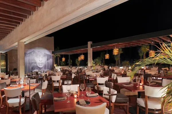 Rosa Negra Los Cabos — Latin American restaurant in Los Cabos