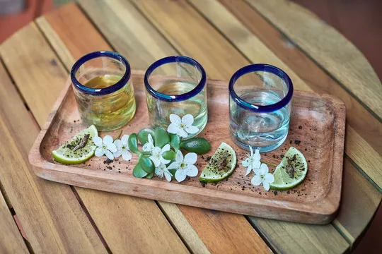 Ruta Oaxaca Mexican Woodbury — Modern Mexican restaurant in Woodbury