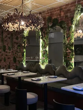 Salud SoHo — Fusion restaurant in New York