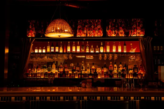 Salud Venice — Latin American restaurant in Marina Del Rey