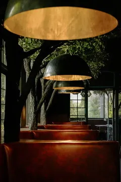 Savú — Asian American restaurant in Charlotte