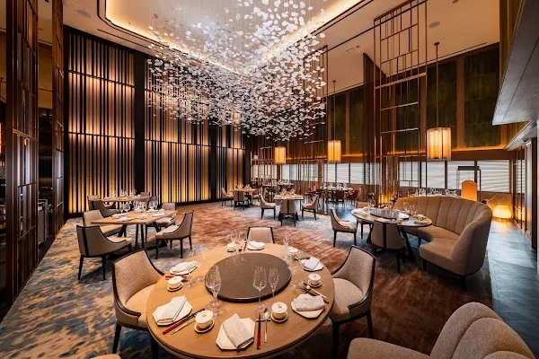 Shisen Hanten by Chen Kentaro — Sichuan, Cantonese restaurant in Singapore