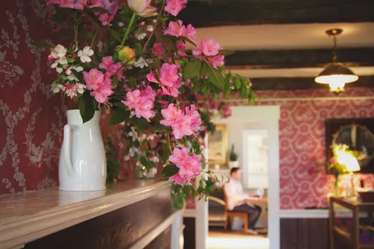 SoLo Farm & Table — Farm to Table restaurant in South Londonderry