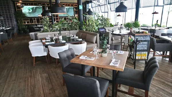 Sonora Grill Mérida — Steakhouse restaurant in Mérida
