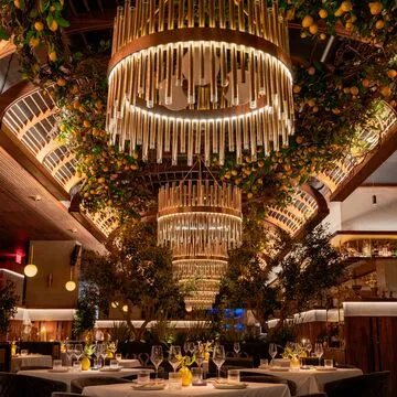 Sparrow Italia — Italian Steakhouse restaurant in Miami