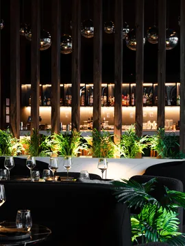 SPICE Charlotte — Asian-American-Mediterranean restaurant in Charlotte