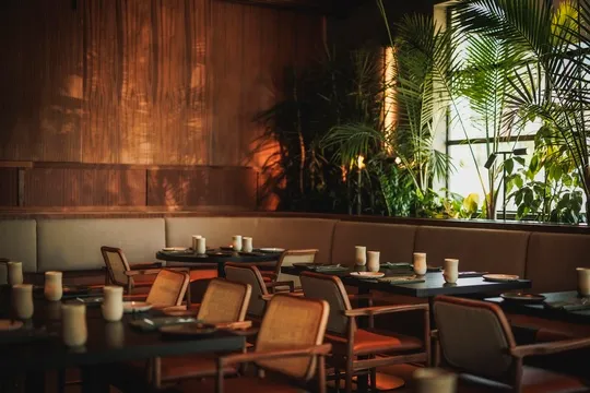 Sueño Snider Plaza — Modern Mexican restaurant in Dallas