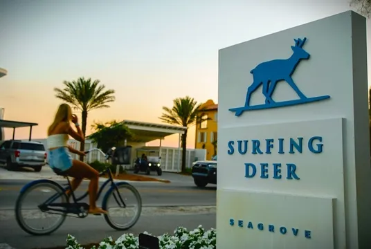 Surfing Deer — Modern restaurant in Santa Rosa Beach