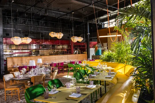 Surreal Global Kitchen — Fusion restaurant in Arlington