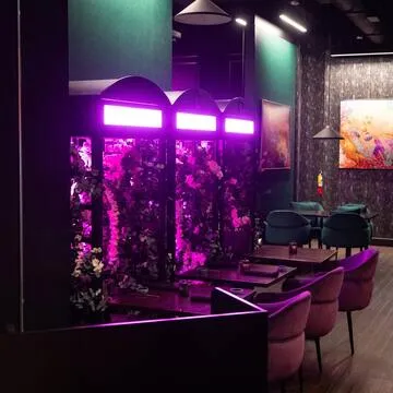 Sushi Palace — Sushi restaurant in Los Angeles