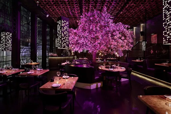 Tattu Manchester — Chinese restaurant in Manchester