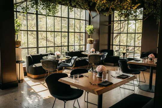 Teak Tearoom — Modern restaurant in Dallas