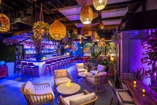 Techo Palma — Mexican restaurant in Washington D.C.