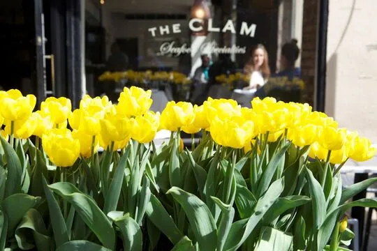 The Clam — Seafood restaurant in New York
