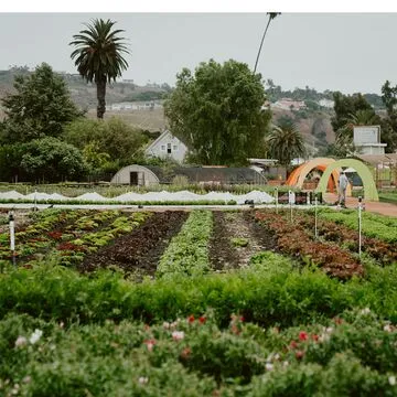 The Ecology Center — New American restaurant in San Juan Capistrano