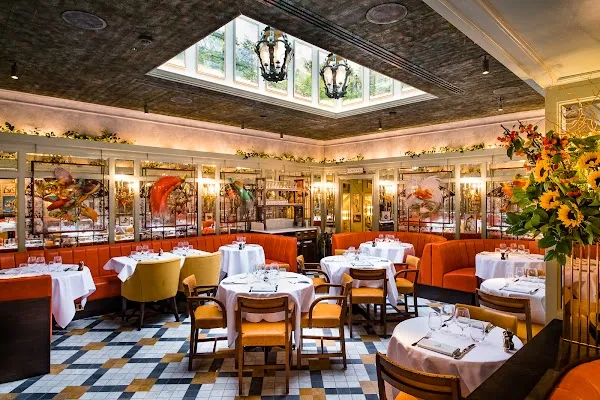 The Ivy Cafe St Johns Wood — British restaurant in London