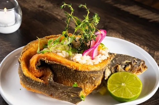 The Newsroom — Fusion restaurant in New York