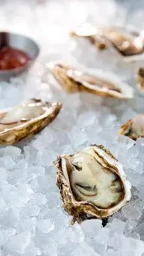 The River Oyster Bar — Seafood restaurant in Miami