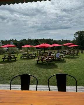 The Rooting Pig — Farm to Table restaurant in Bristol