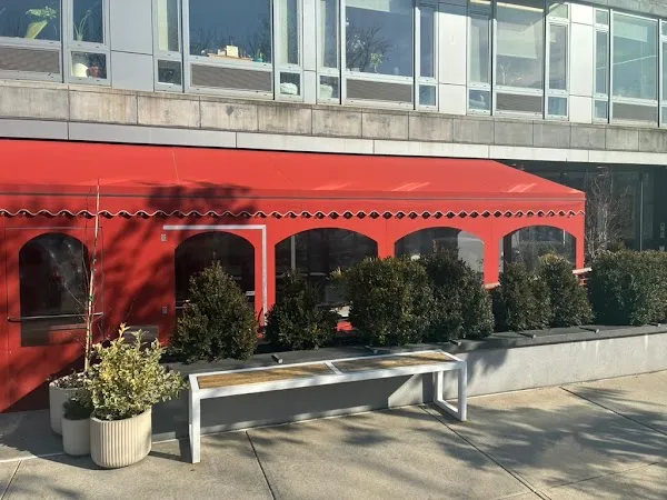 The Snail — American restaurant in New York