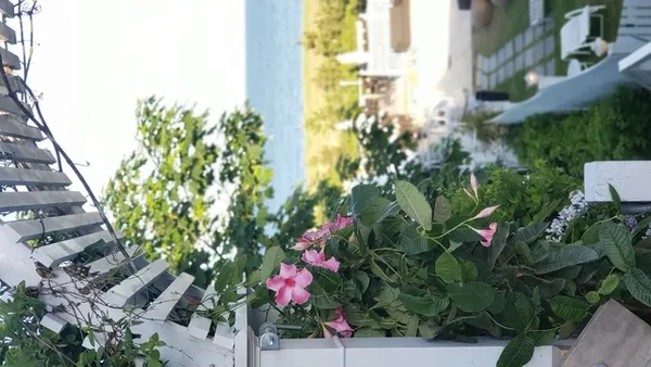 The Summer House Beachside Bistro — American restaurant in Nantucket