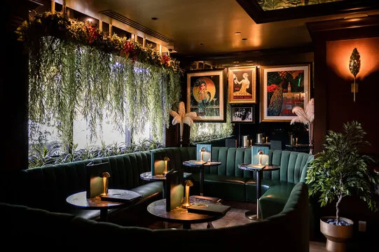 The Vine Room Naples — American restaurant in Naples