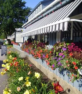 The Wildcat Inn & Tavern — American restaurant in Jackson
