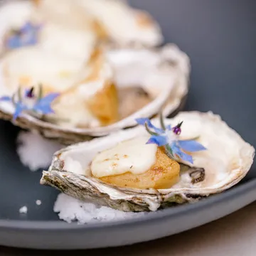 Tourterelle Restaurant & Inn — French restaurant in New Haven