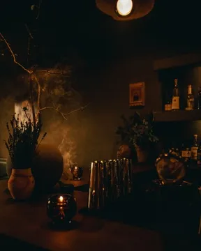 TRONA — Cocktail Bar restaurant in Austin