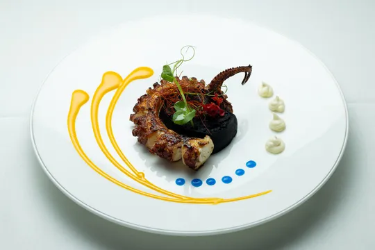 Tullio — Italian restaurant in Coral Gables