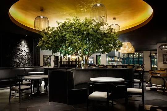 Urban Oak Raleigh — Contemporary American restaurant in Raleigh