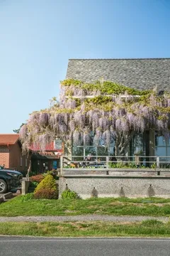Ursa Minor - Lopez Island — New American restaurant in Lopez Island