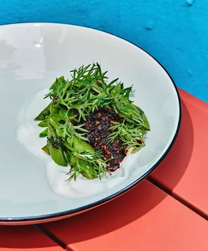 Ursula Brooklyn — Mexican restaurant in New York