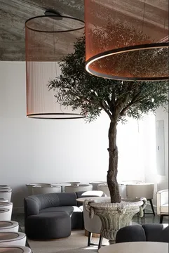 Uvas PR — Wine Tasting restaurant in Dorado