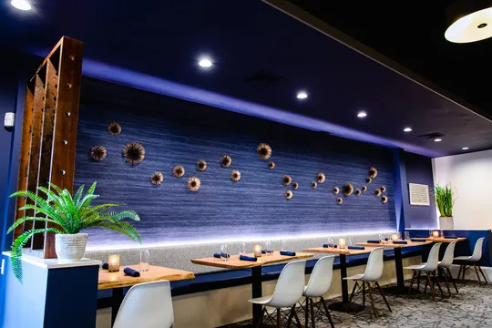 VELE — Italian restaurant in Chicago