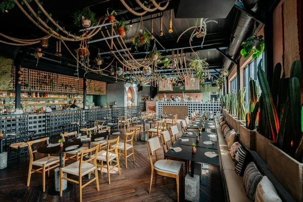 Vera Cocina & بار — Middle Eastern Mexican restaurant in Washington D.C.