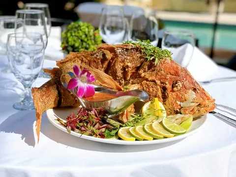 Veranda E — International restaurant in Naples