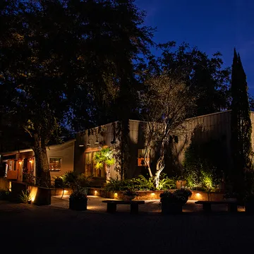 Wild Olive Cucina Italiana — Italian restaurant in Charleston