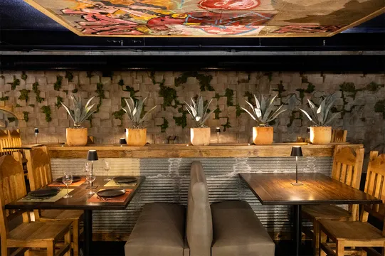 Xico Asheville — Modern Mexican restaurant in Asheville