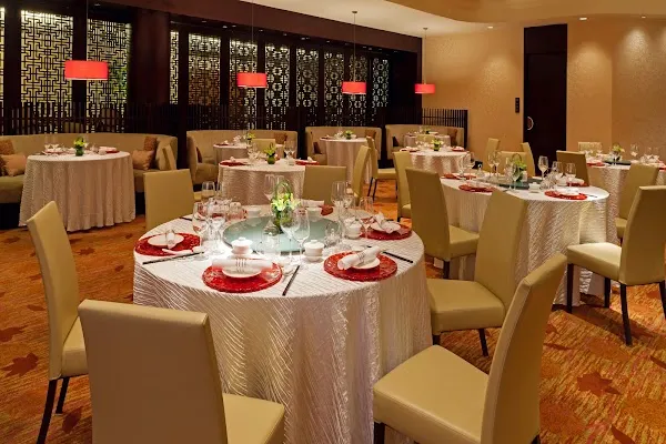 Xin Cuisine Chinese Restaurant — Chinese restaurant in Singapore