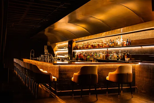 Yawning Cobra — Cocktail Bar restaurant in New York