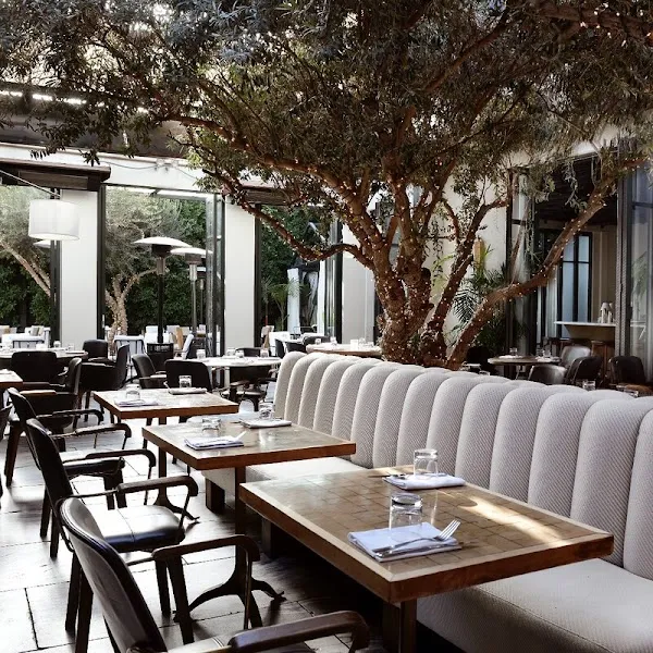 Ysabel — American restaurant in Los Angeles