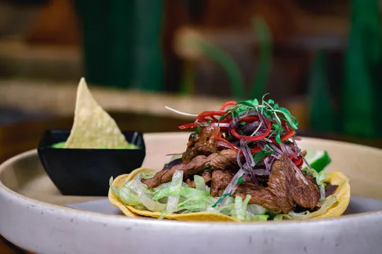 Zazil Cocina Mexicana — Mexican restaurant in San Jose