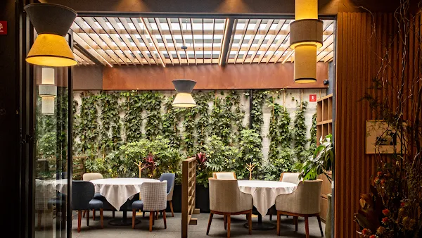 Zeru Lomas — Spanish restaurant in Ciudad de México
